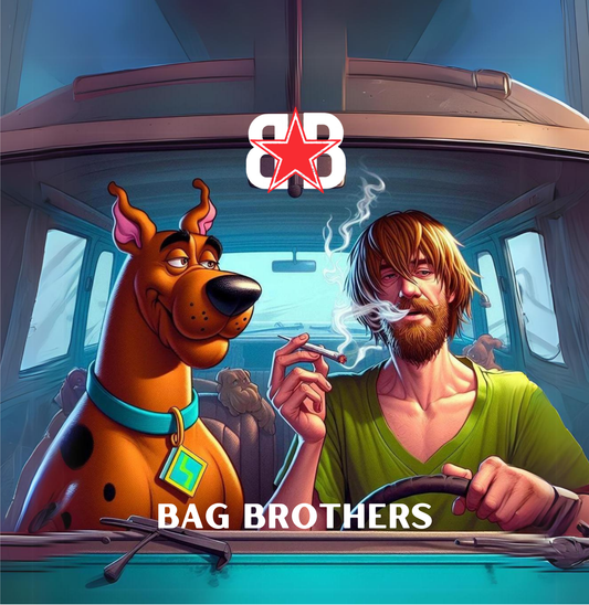 NON-STAMPED DREDDZ CORNHOLE BAG "SCOOBY AND SHAGGY"